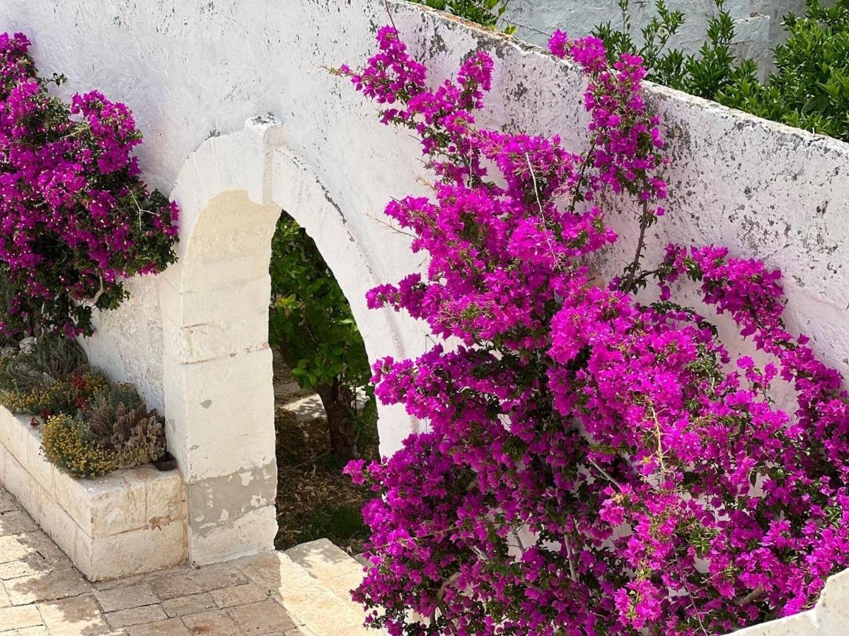 Masseria Piccole Taverne Rosa Marina Exteriör bild
