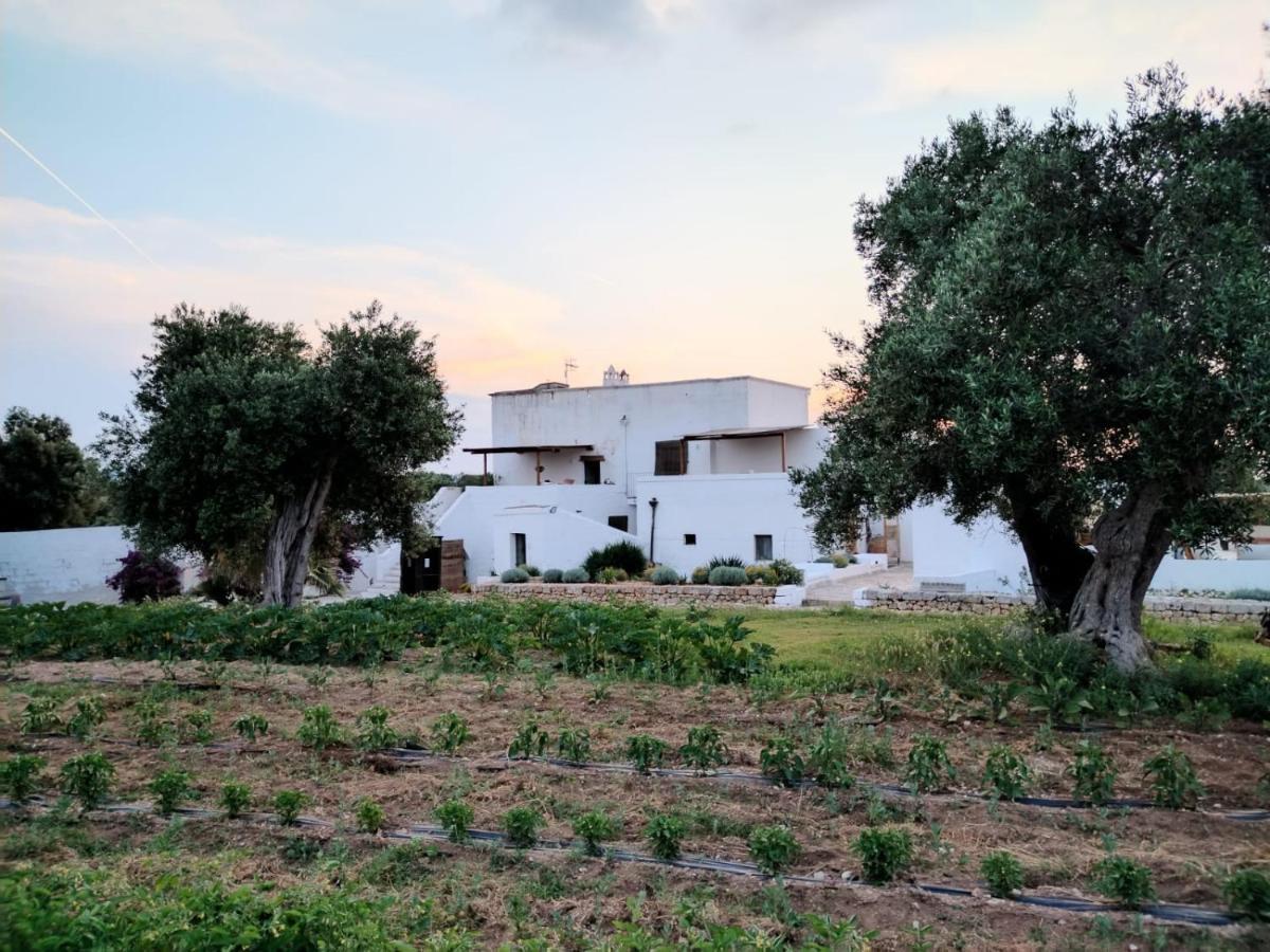 Masseria Piccole Taverne Rosa Marina Exteriör bild