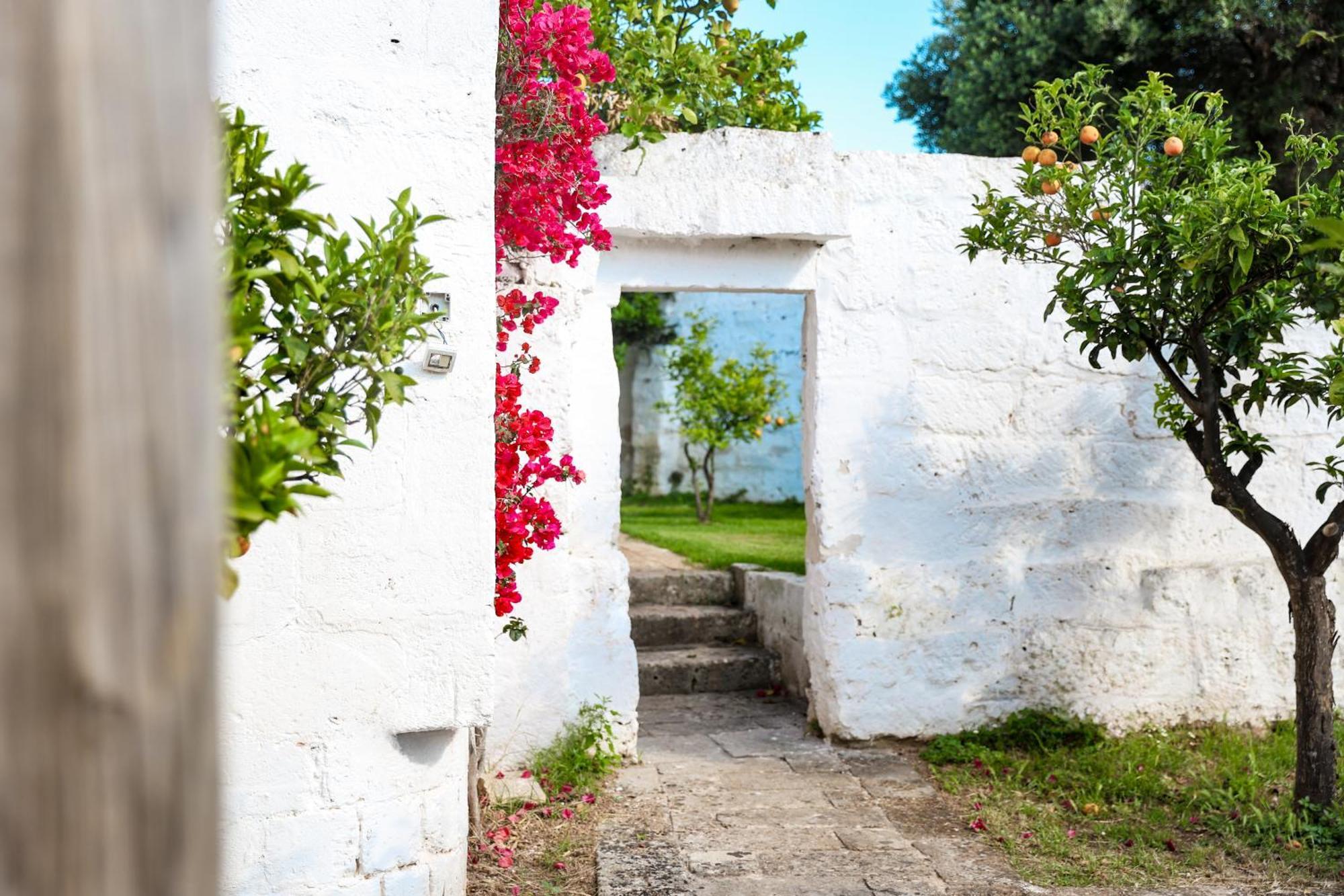 Masseria Piccole Taverne Rosa Marina Exteriör bild