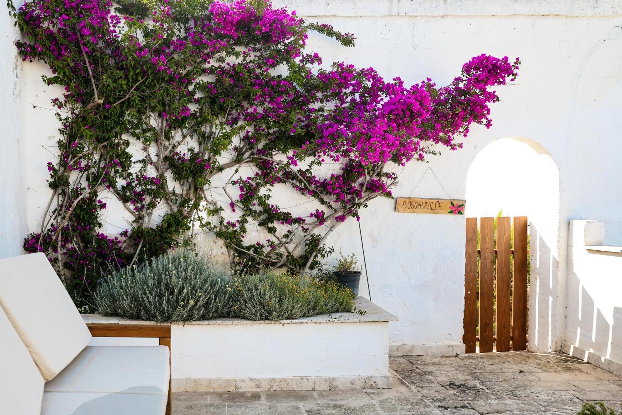 Masseria Piccole Taverne Rosa Marina Exteriör bild