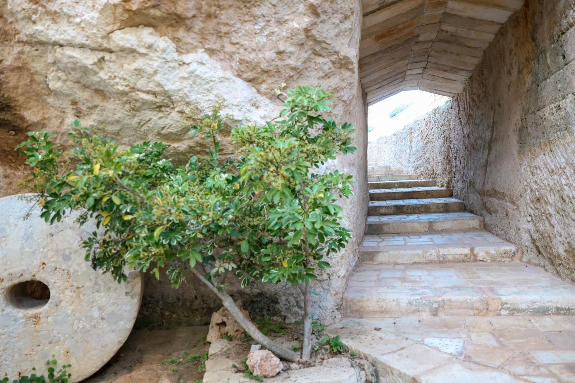 Masseria Piccole Taverne Rosa Marina Exteriör bild