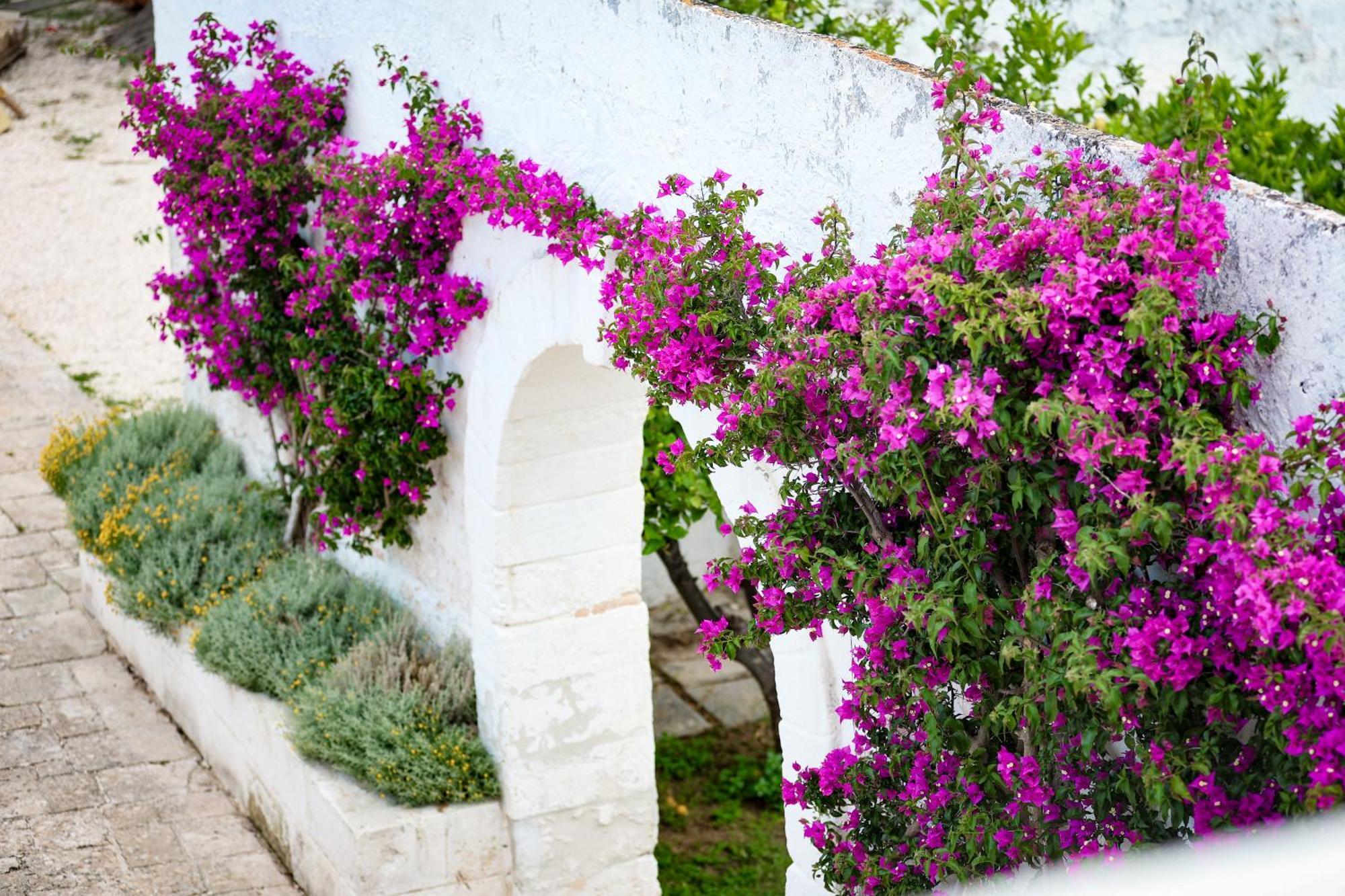 Masseria Piccole Taverne Rosa Marina Exteriör bild