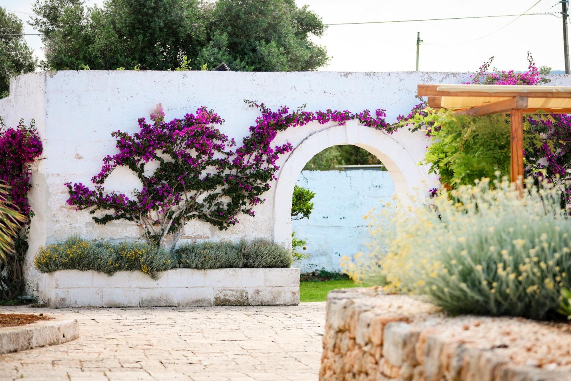 Masseria Piccole Taverne Rosa Marina Exteriör bild