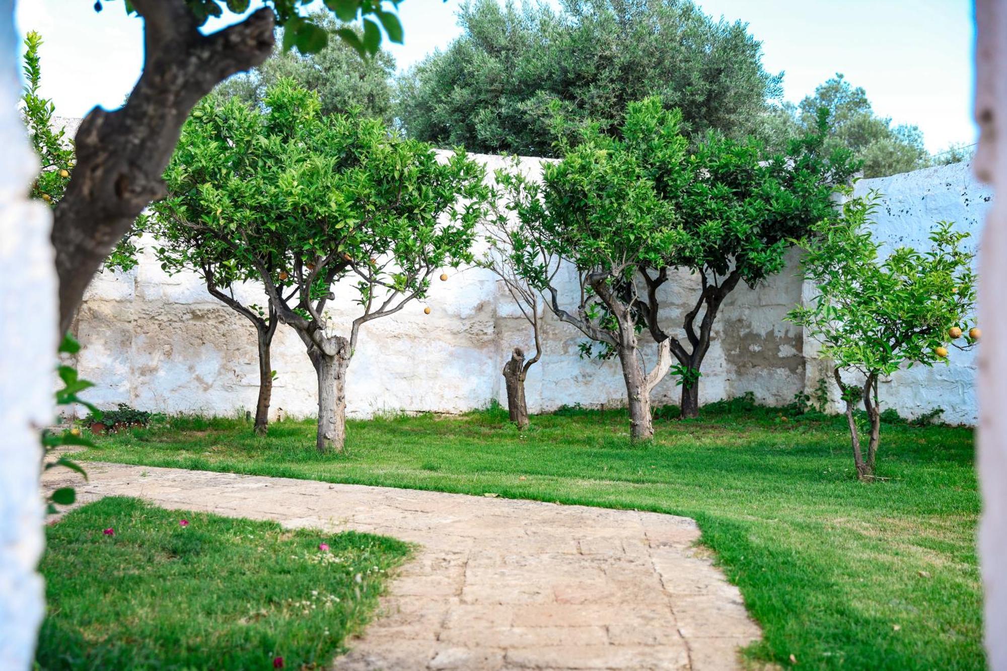 Masseria Piccole Taverne Rosa Marina Exteriör bild